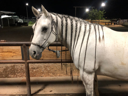 How to Protect a Mane with Long Braids