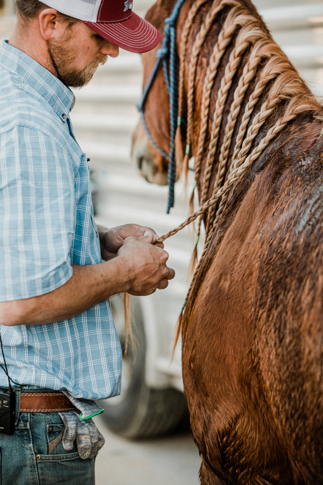 How Do I Wash My Horse During Winter?