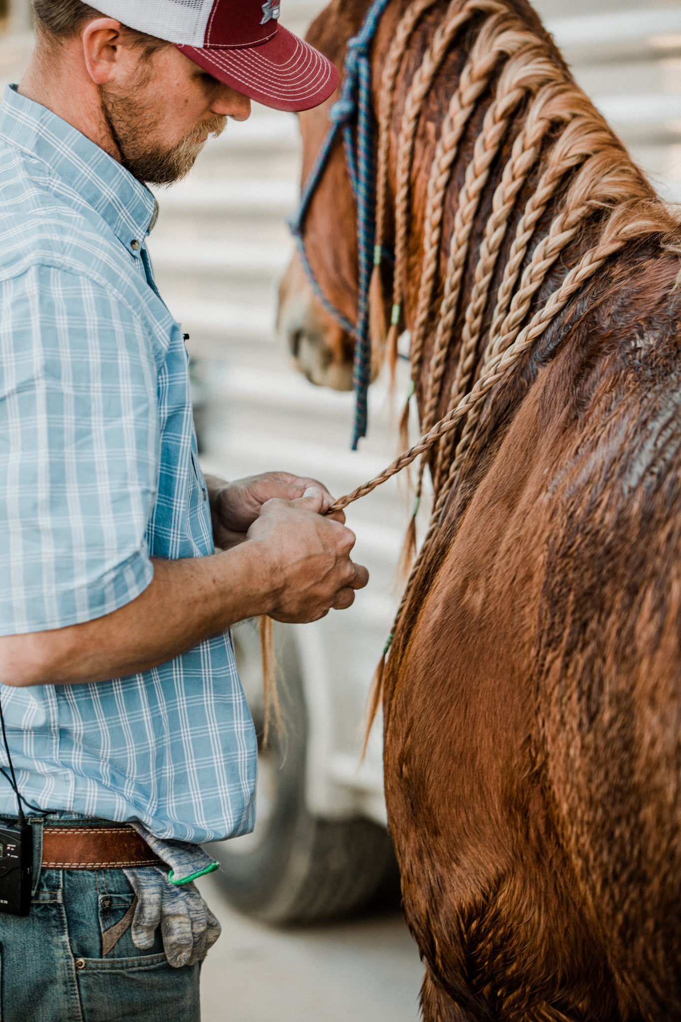 Why You Need to Tightly Secure Your Horse's Braids –