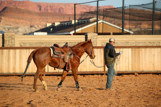 Protecting the Mane Under a Saddle Pad