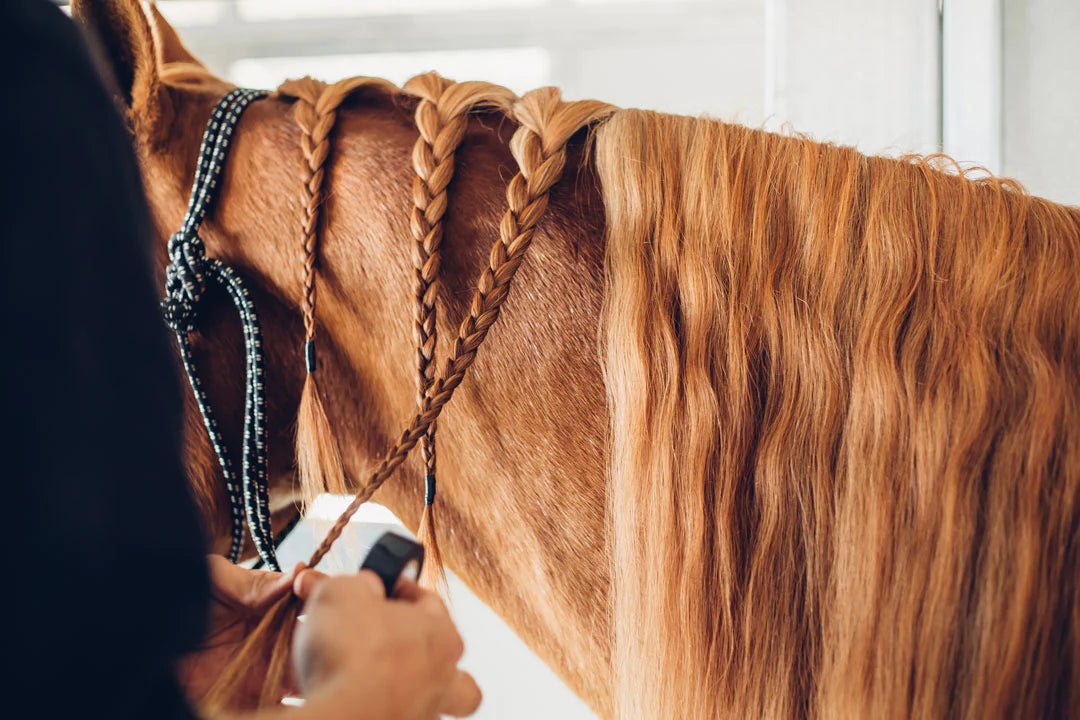 Why You Need to Tightly Secure Your Horse's Braids –