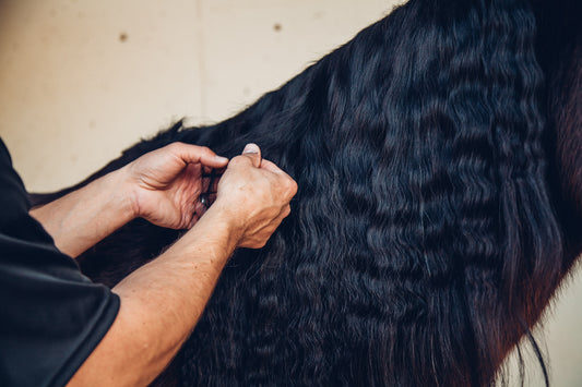 How To Properly Shampoo the Mane