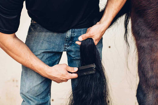 How To Properly Brush Your Horse’s Tail