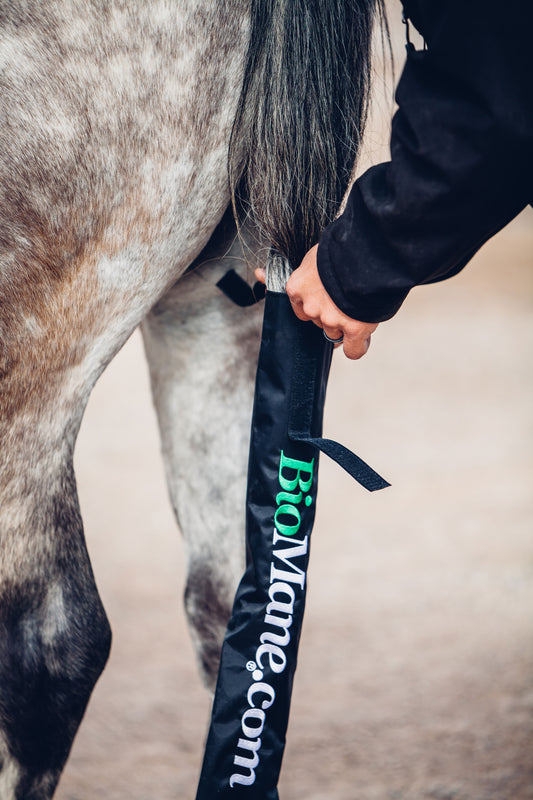 Double Velcro Tailbag Strap = Perfection