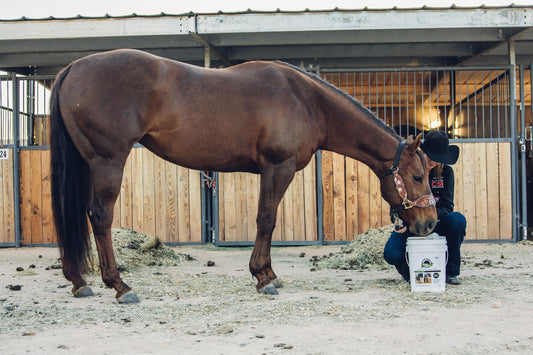 How Long Until I See Results Feeding BioMane?