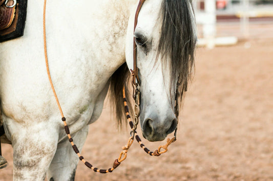 The Grooming Tool Works on Sensitive Areas with Ease