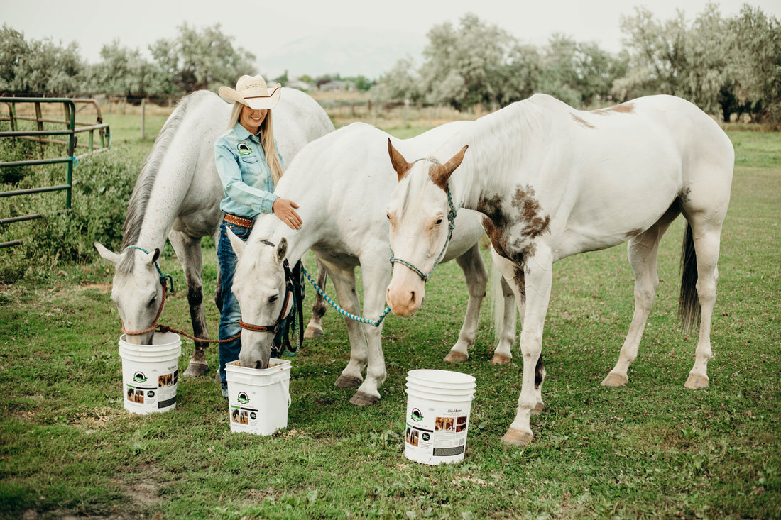 How Do I Feed BioMane Equine Pellets?