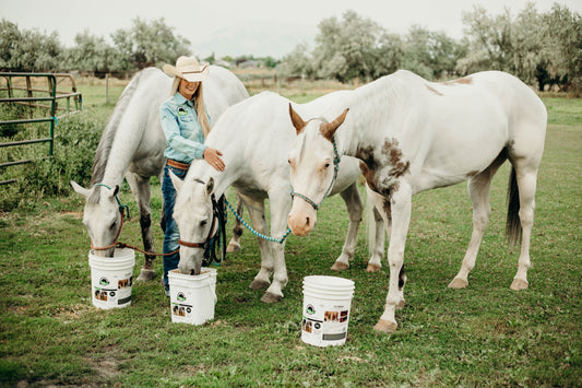 How Do I Feed BioMane Equine Pellets?