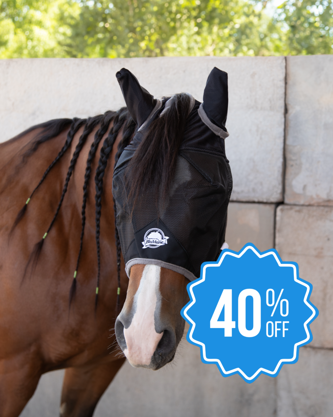 Fly Mask