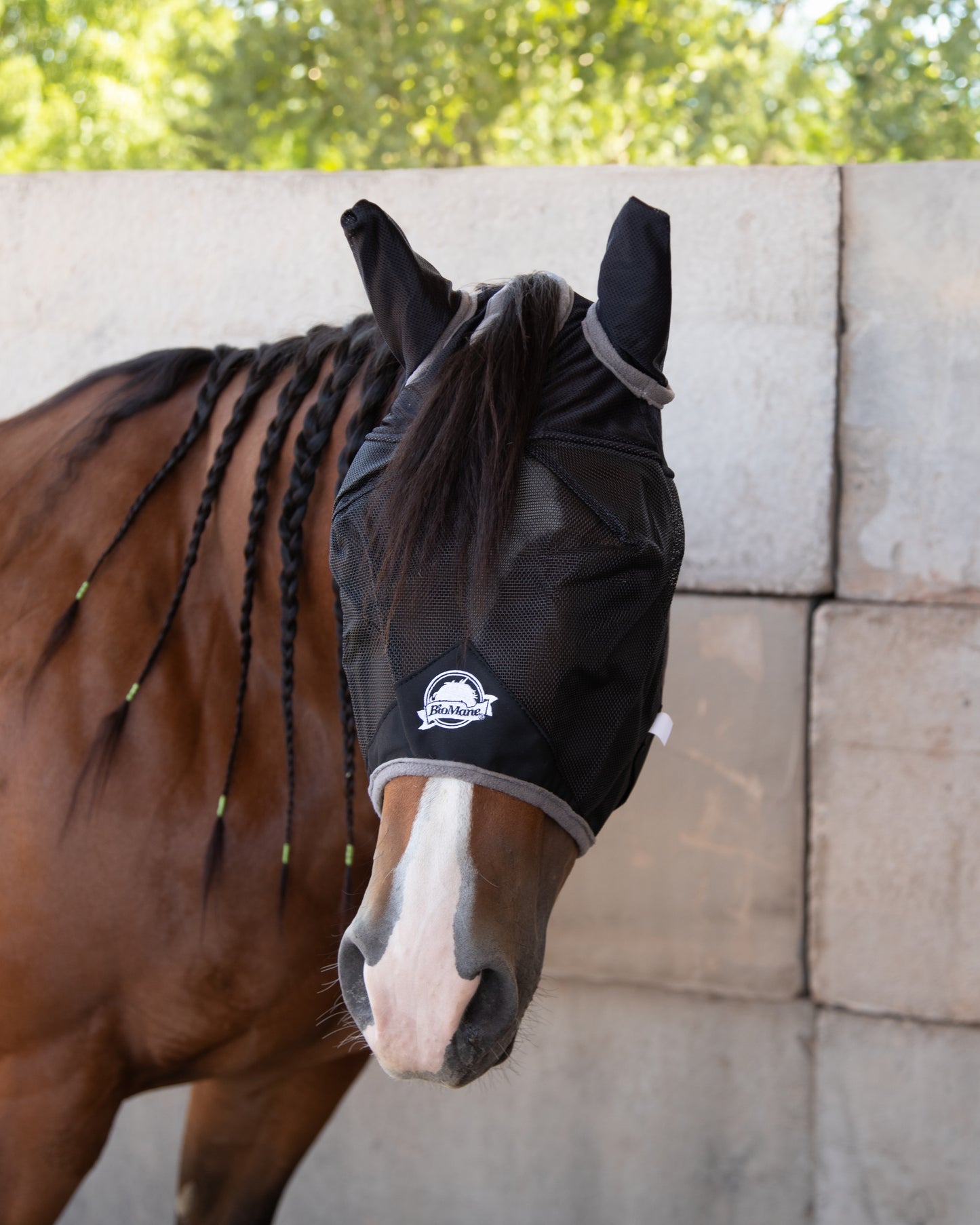 Fly Mask
