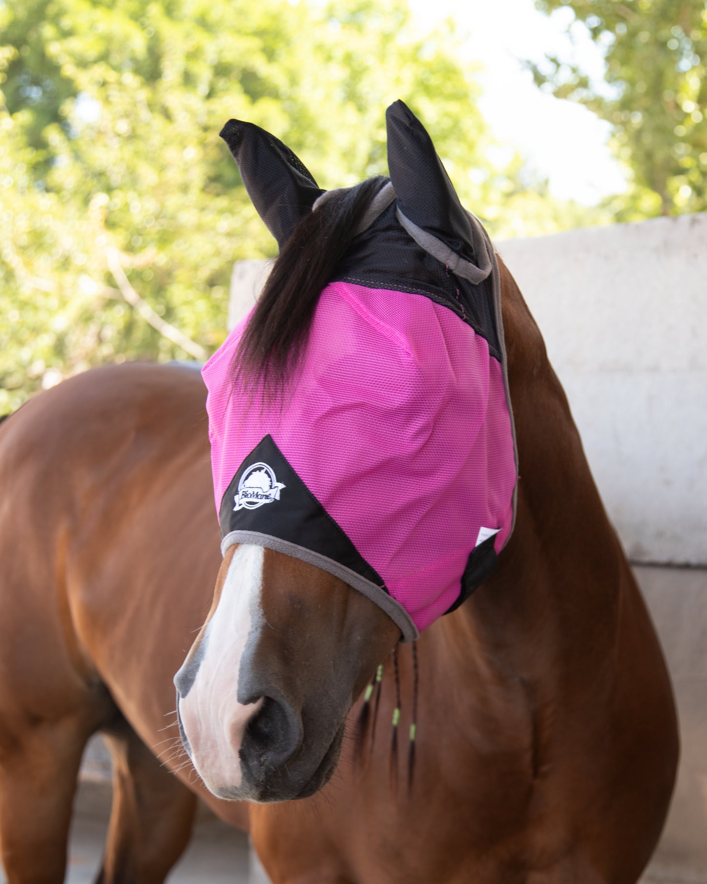 Fly Mask