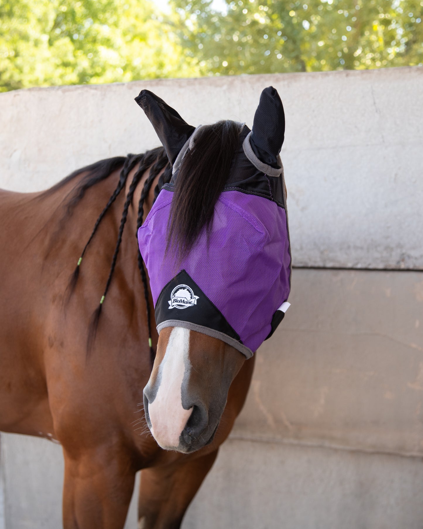 Fly Mask
