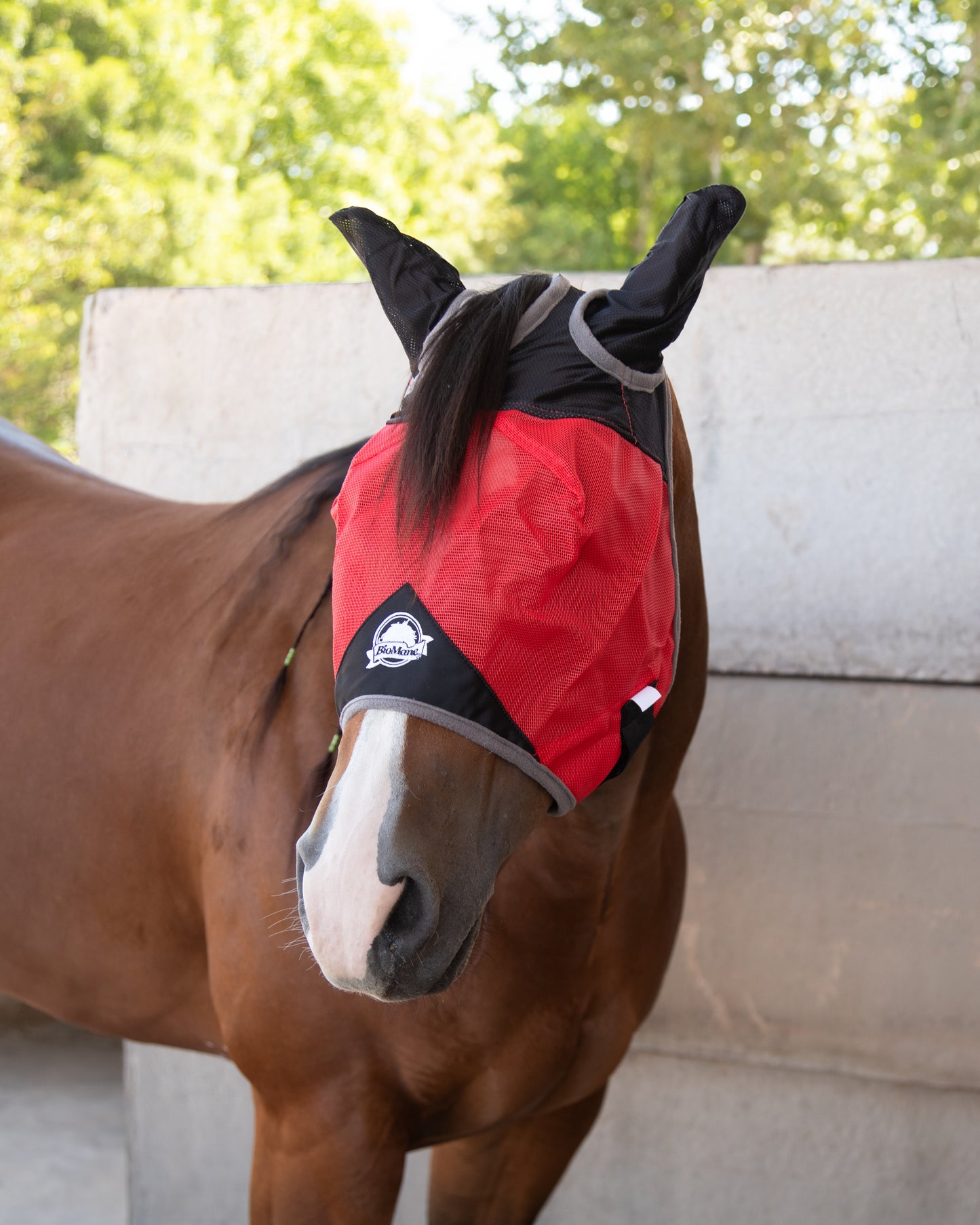 Fly Mask