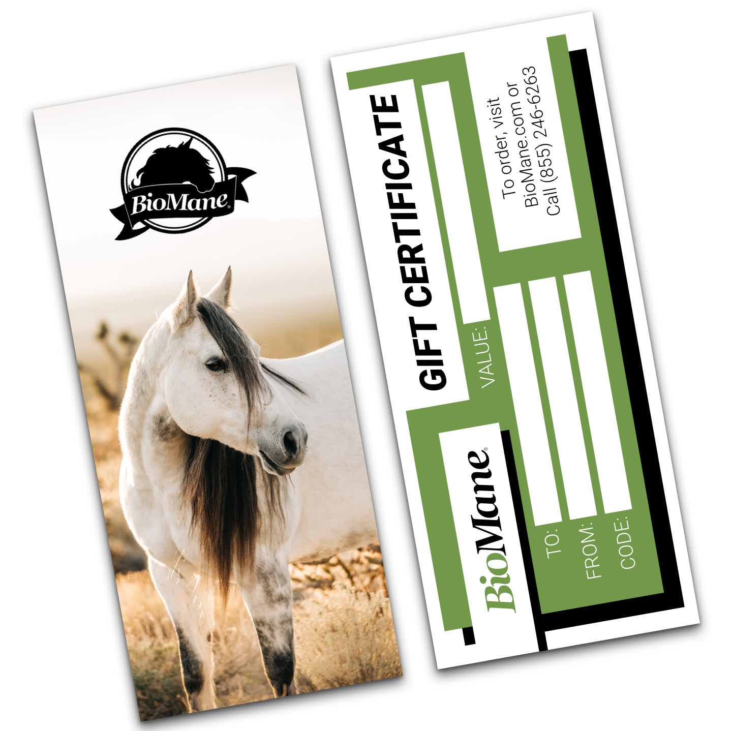 Gift Certificate