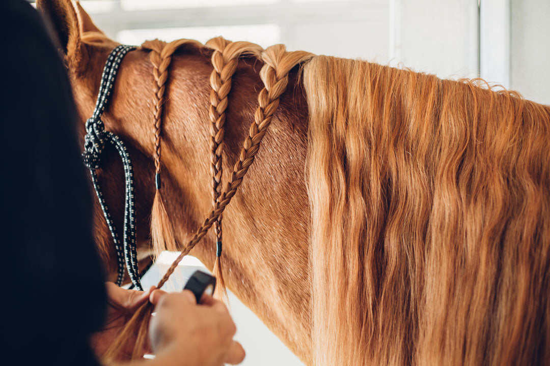 Stop using rubber bands on manes and tails!