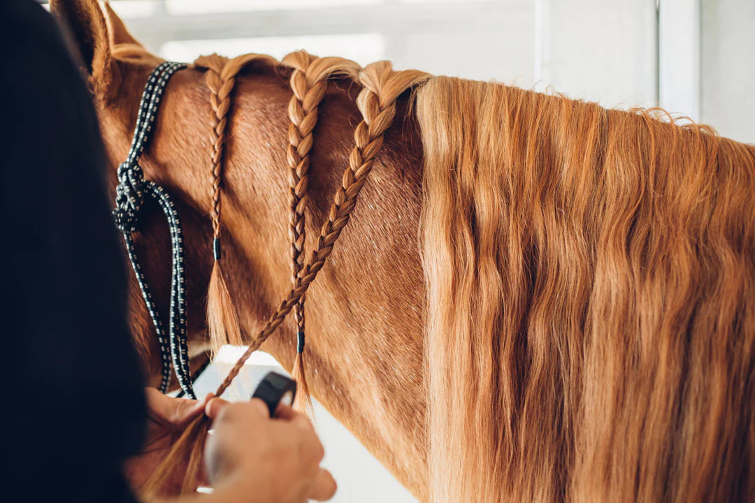 Should I Braid Manes in Small or Large Sections?