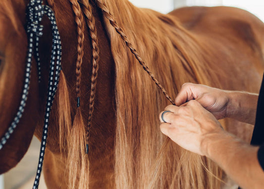Why You Need to Tightly Secure Your Horse’s Braids
