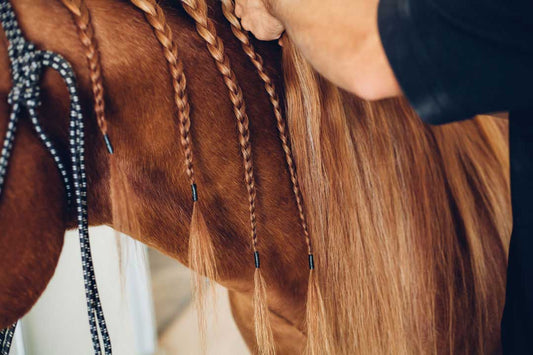 9 Valuable Tips for Braiding (and saving) Your Horse's Mane