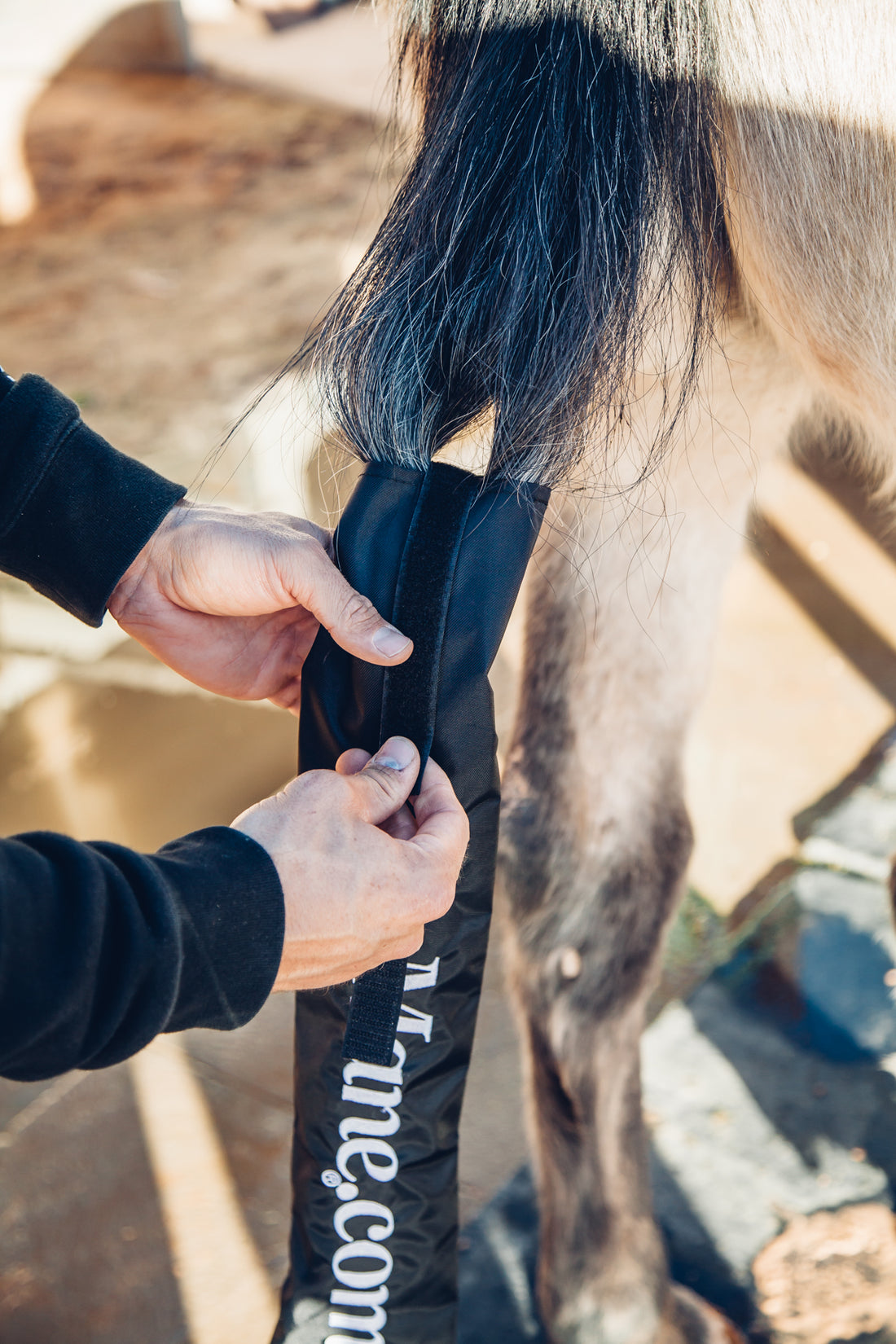 Why Your Horse’s Tailbag should be Lightweight and Durable