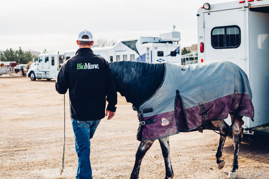 Why Your Horse Blanket/Hood Needs to Fit Perfectly