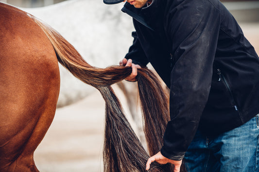 Properly Working Through Knots - Takes Time but Saves Lots of Hair