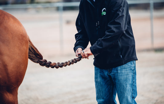 Where to Stop Braiding Your Horse’s Mane & Tail