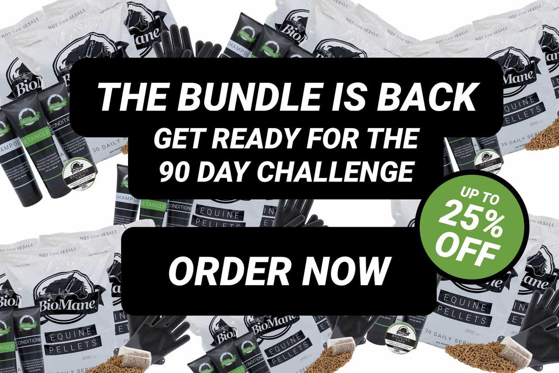 90 Day Bundle Sale: Get Ready For The 2023 90 Day Challenge