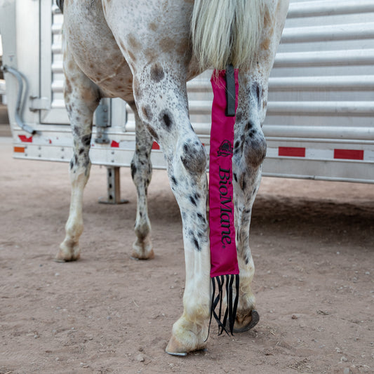 If your horses tail is not in a Tailbag, it's being damaged