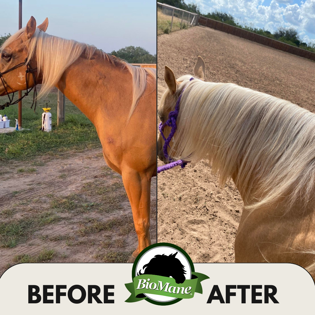BioMane Equine Pellets