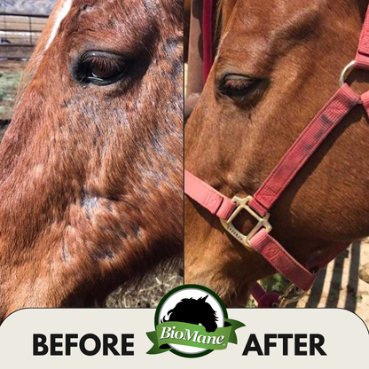 BioMane Equine Pellets