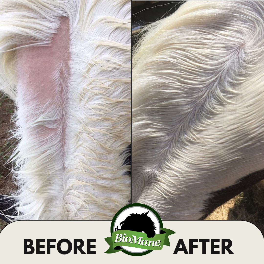 BioMane Equine Pellets