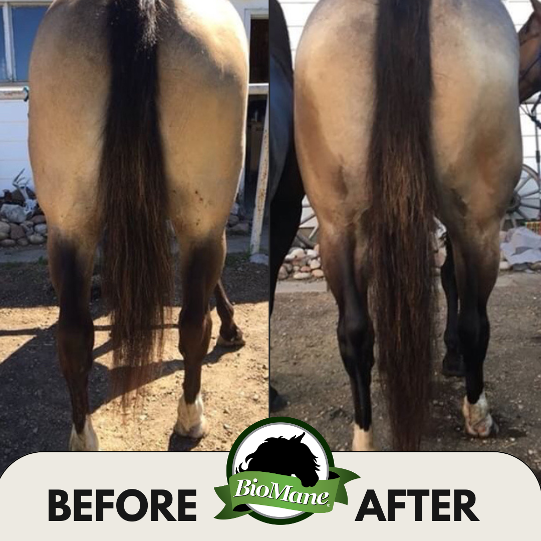 BioMane Equine Pellets
