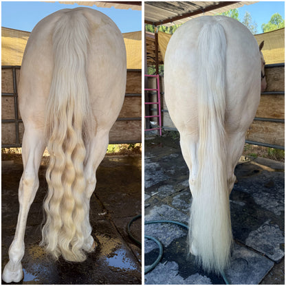 Whitening Shampoo