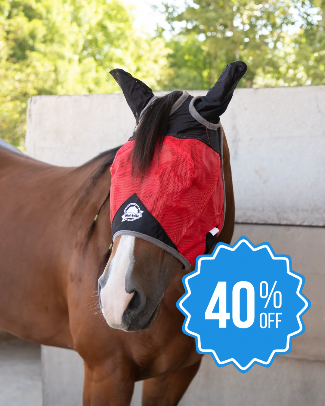Fly Mask
