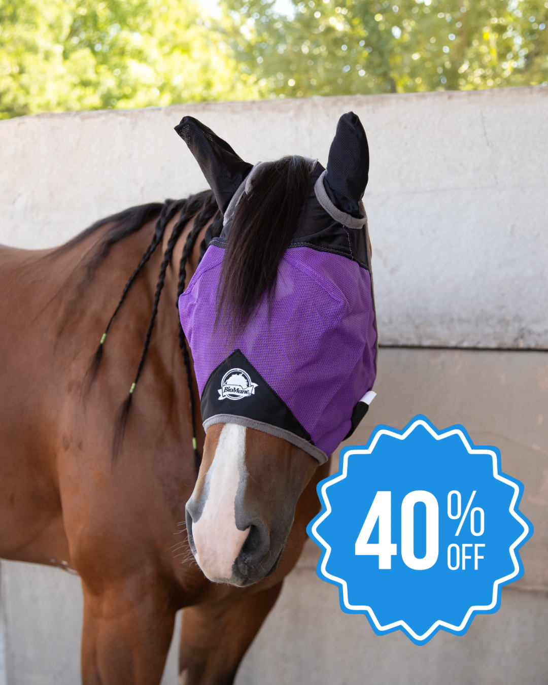 Fly Mask
