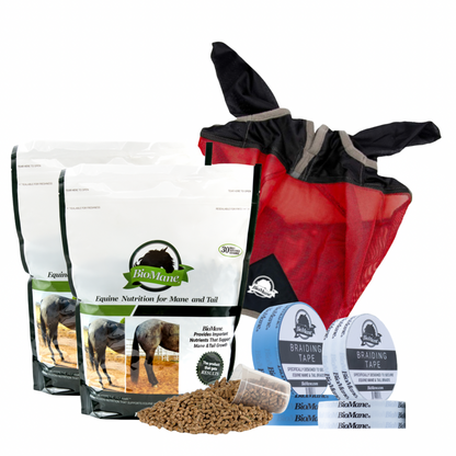 Independence Day Bundle