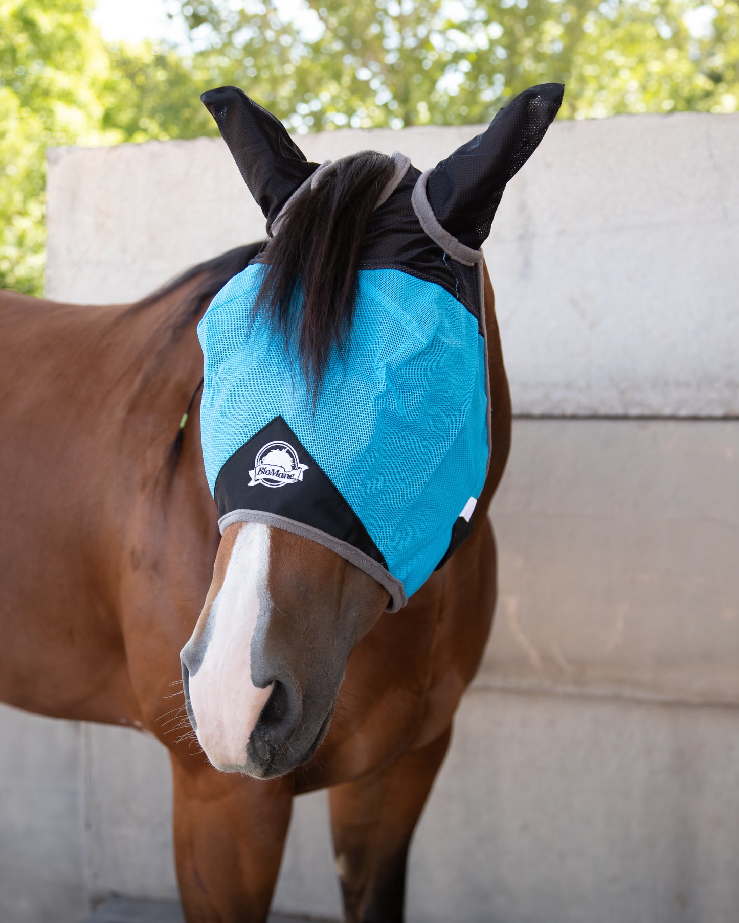 Fly Mask