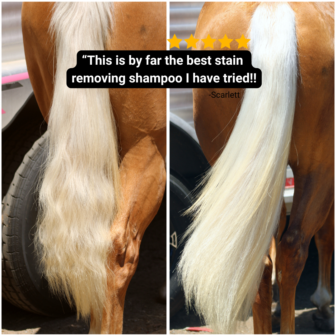 Whitening Shampoo