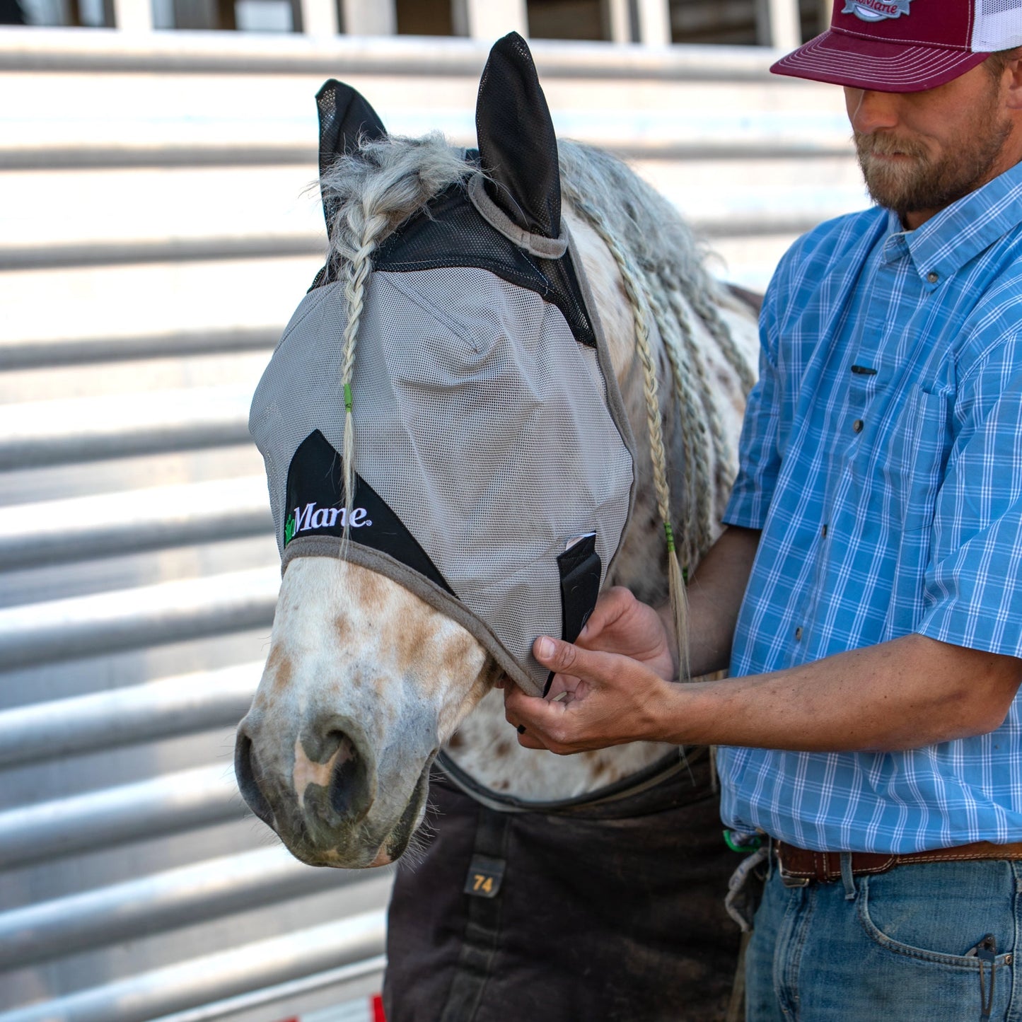 Fly Mask