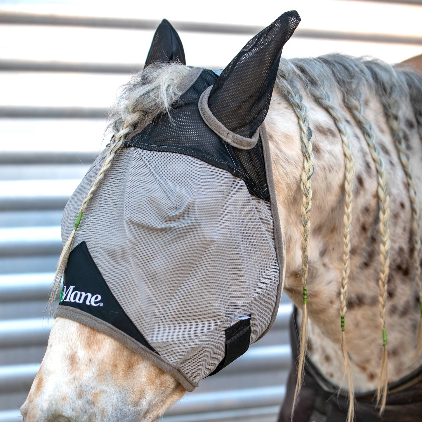 Fly Mask