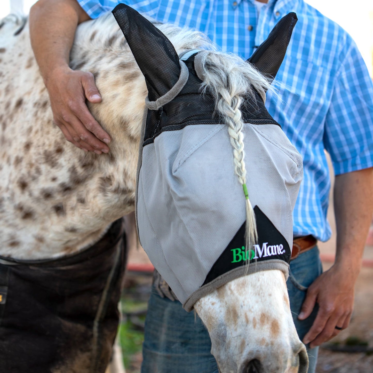 Fly Mask