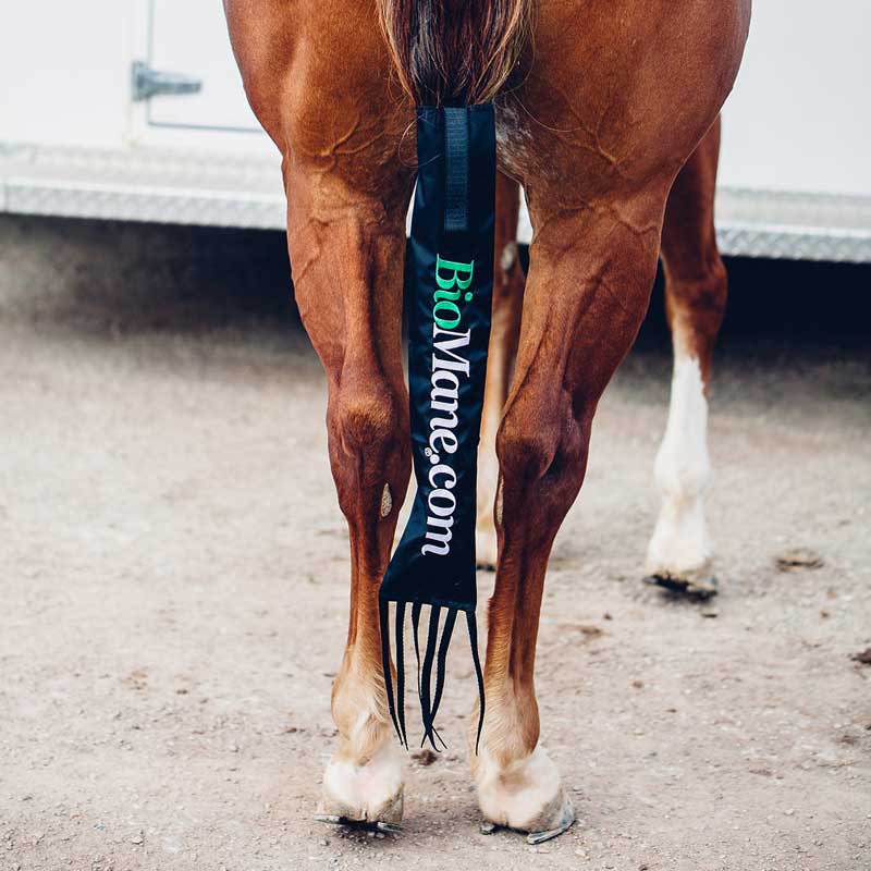 BioMane Horse Tail Bag