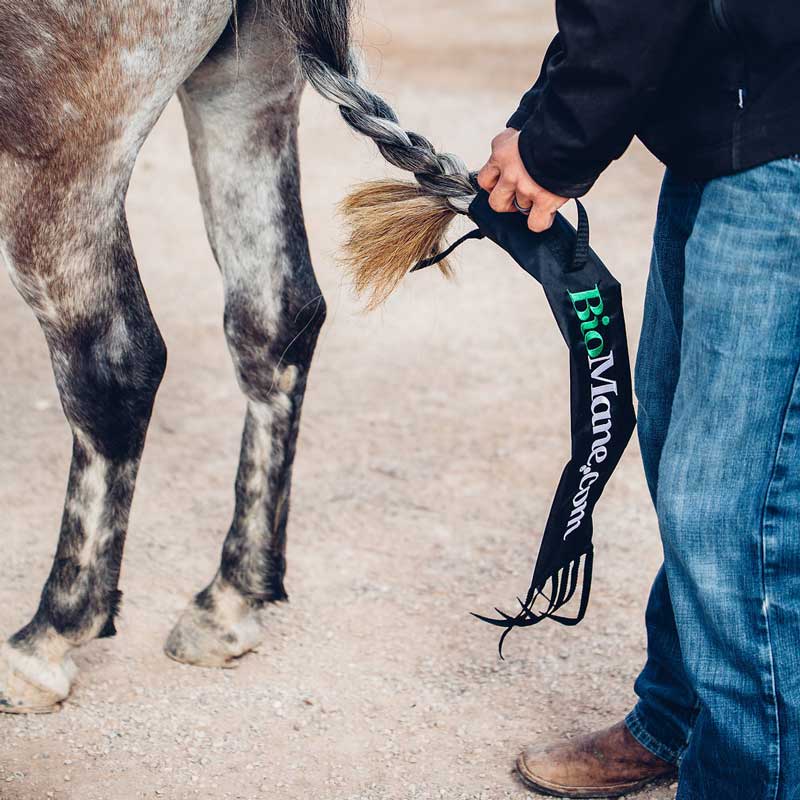 A Horse Tail Bag is the best for growing a thick and long tail